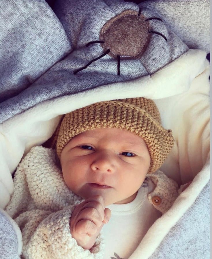 BABY NIDO CAPAZO TEMATICO 🐻🦊🐭🐰🦁 - Decosweetbcn