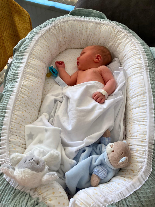 Porque comprar un baby nido ? - Decosweetbcn